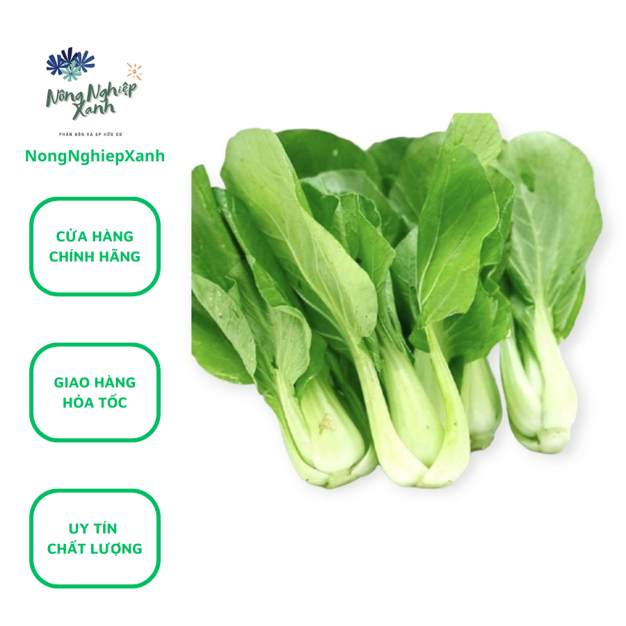 Bộ 2 gói Hạt Giống Cải Thìa Cao Sản gói 20gr, hat giong rau sach thuy canh Nongnghiepxanh