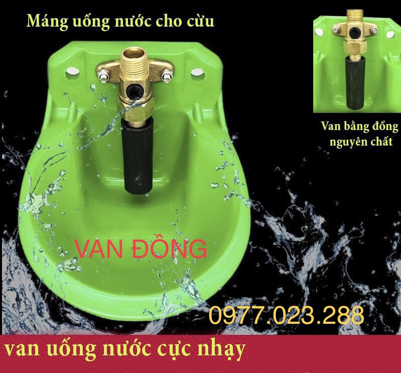 Máng uống nước tự động cho dê cừu