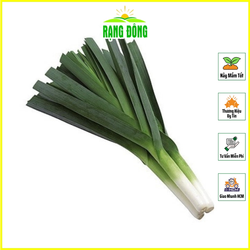 Hạt giống tỏi tây trồng quanh năm, kháng bệnh tốt - hạt giống rạng đông