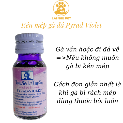 Gà chọi kén mép violet- bôi mép gà đá lai nhự pet