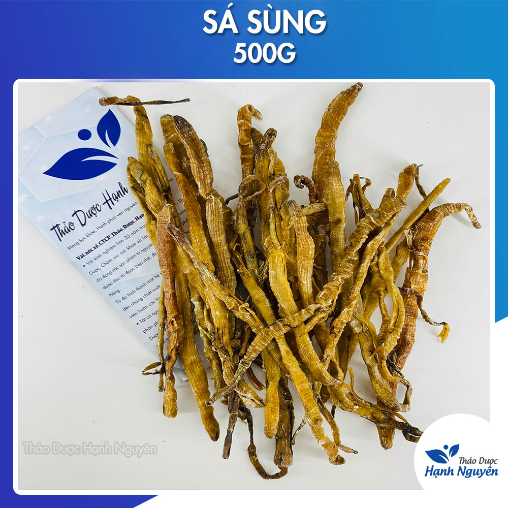 500g Sá sùng khô nấu phở - Thảo dược hạnh nguyên