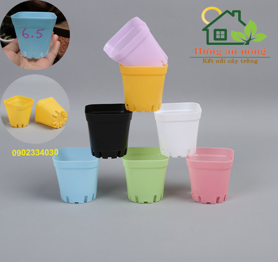 Combo 10 chậu vuông size 6.5x6.5cm - trồng sen đá bonsai xương rồng có 7 màu chọn.