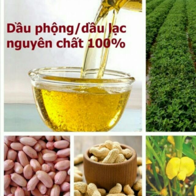 Sỉ Dầu lạc nghệ an