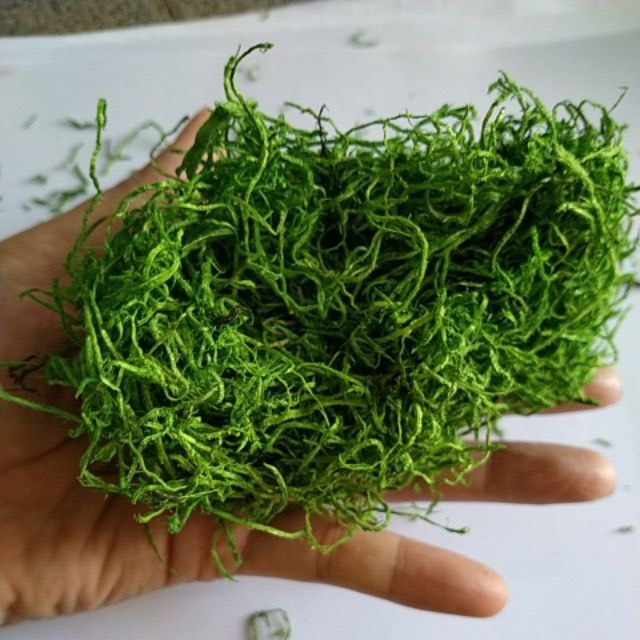 Cỏ bột , cỏ sợi . Rêu bột , rêu sợi dùng trang trí chậu cây làm mô hình , làm thủ công
