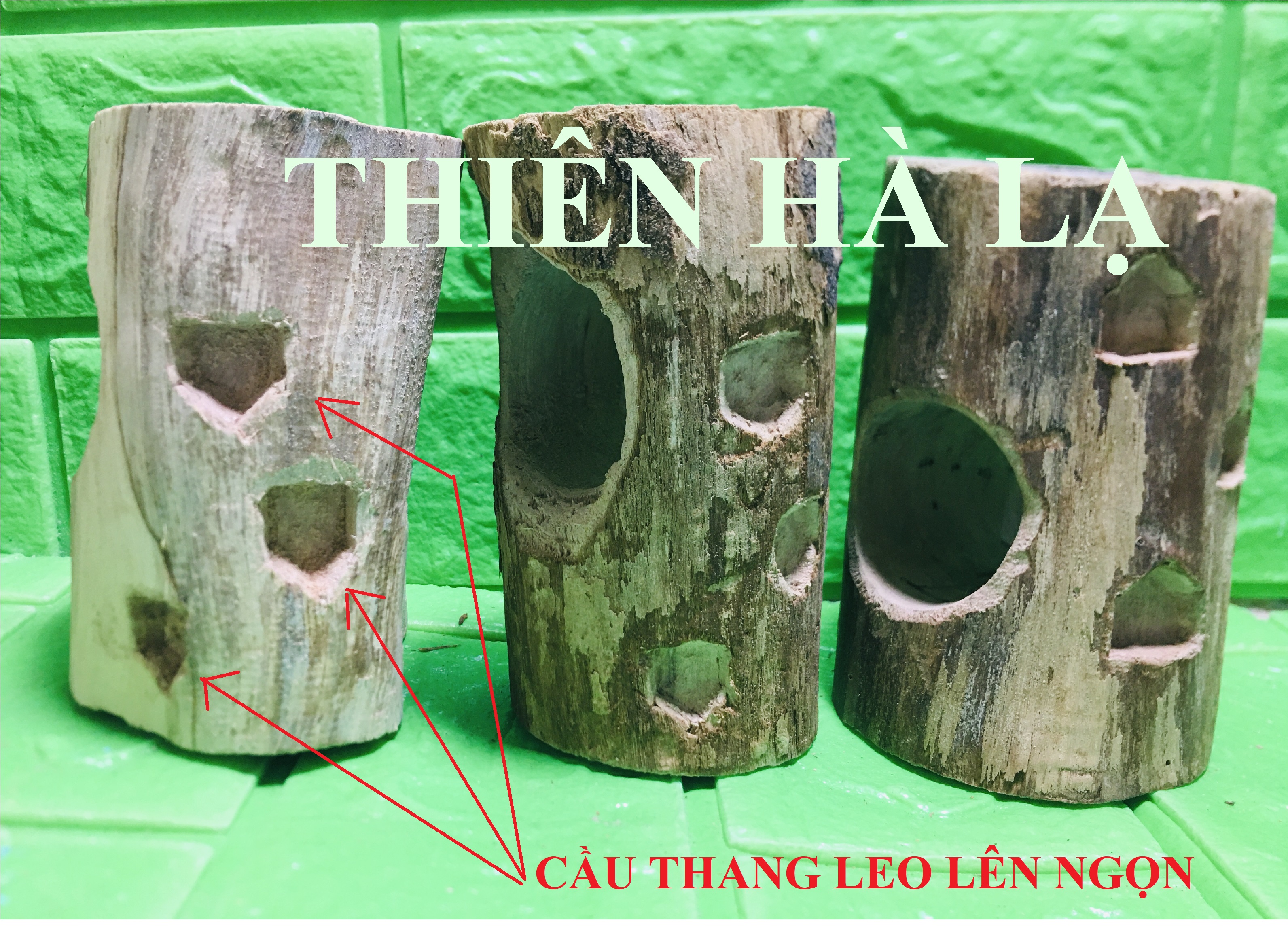 Hang Gỗ Hiện Đại Cho Hamster Bear, hamster nhỏ, Thú nhỏ trú ẩn, làm ổ