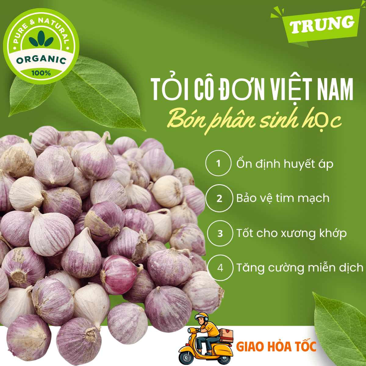 [Organic] [HCM] 1kg Tỏi cô đơn Việt Nam, tỏi mồ côi thơm ngon, tỏi 1 nhánh chắc củ loại TRUNG không hóa chất tăng trưởng, tốt cho sức khỏe - thương hiệu VỢ CHỒNG TÔI