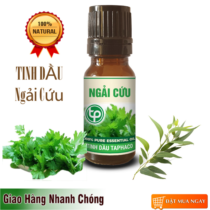 Tinh dầu ngải cứu nguyên chất 10ml - Tấn Phát