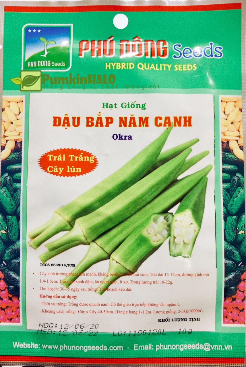 [HCM]hạt giống đậu bắp trắng lùn say trái Phú Nông -gói 10gram hàng công ty chất lượng