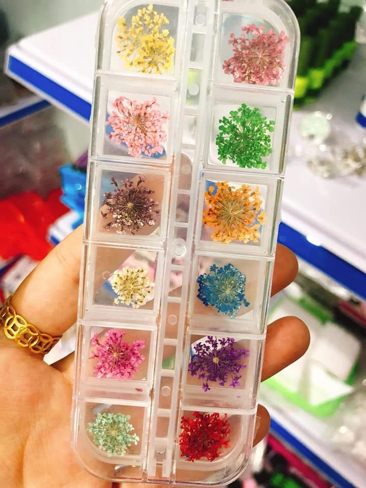 Set hoa khô trang trí móng - hoa khô