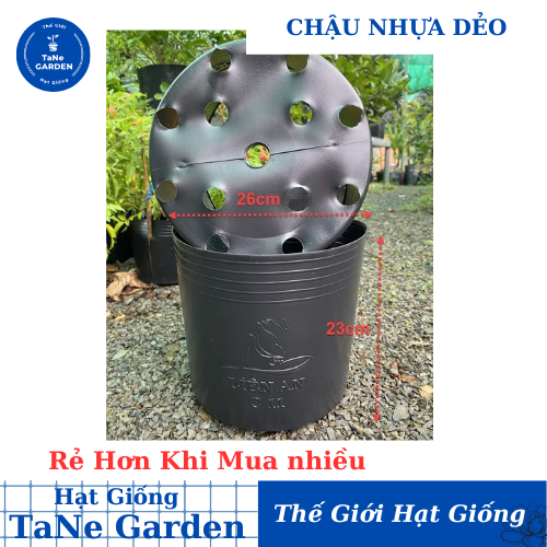 Chậu nhựa trồng cây C11 đen dẻo trồng rau, hoa, cây cảnh