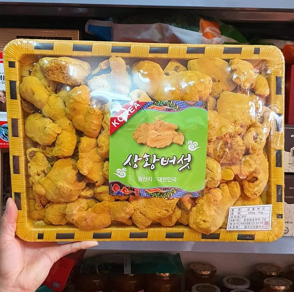 Nấm thượng hoàng cao cấp hàn quốc túi 1kg