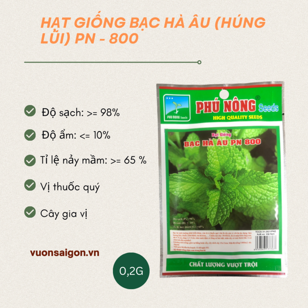 Hạt giống bạc hà âu (húng lũi) PN-80 20gr,  hạt giống chắc khỏe, tỉ lệ nẩy mầm cao (Vườn Sài Gòn)
