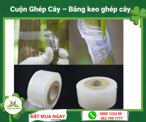 Cuộn băng keo ghép cây Vườn Sài Gòn - Vuon Sai Gon
