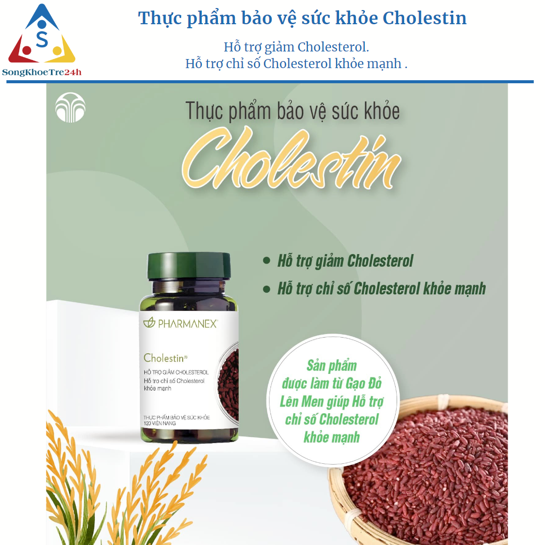 Thực phẩm bảo vệ sức khỏe Cholestin