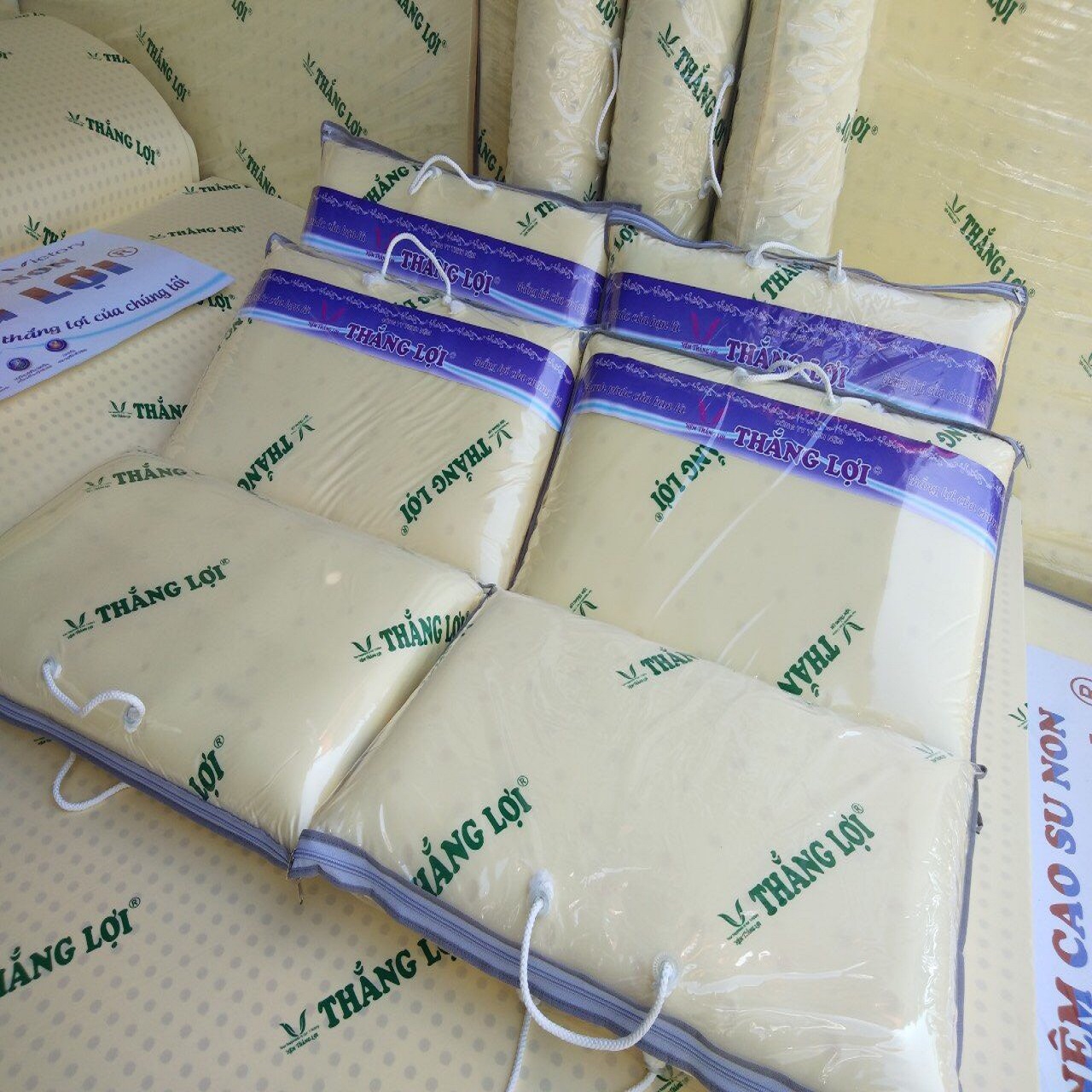 [HCM][Drap Nệm Thắng Lợi] - Gối Nằm Cao Su Non Cứng Thắng Lợi 40 x 60 x 9cm