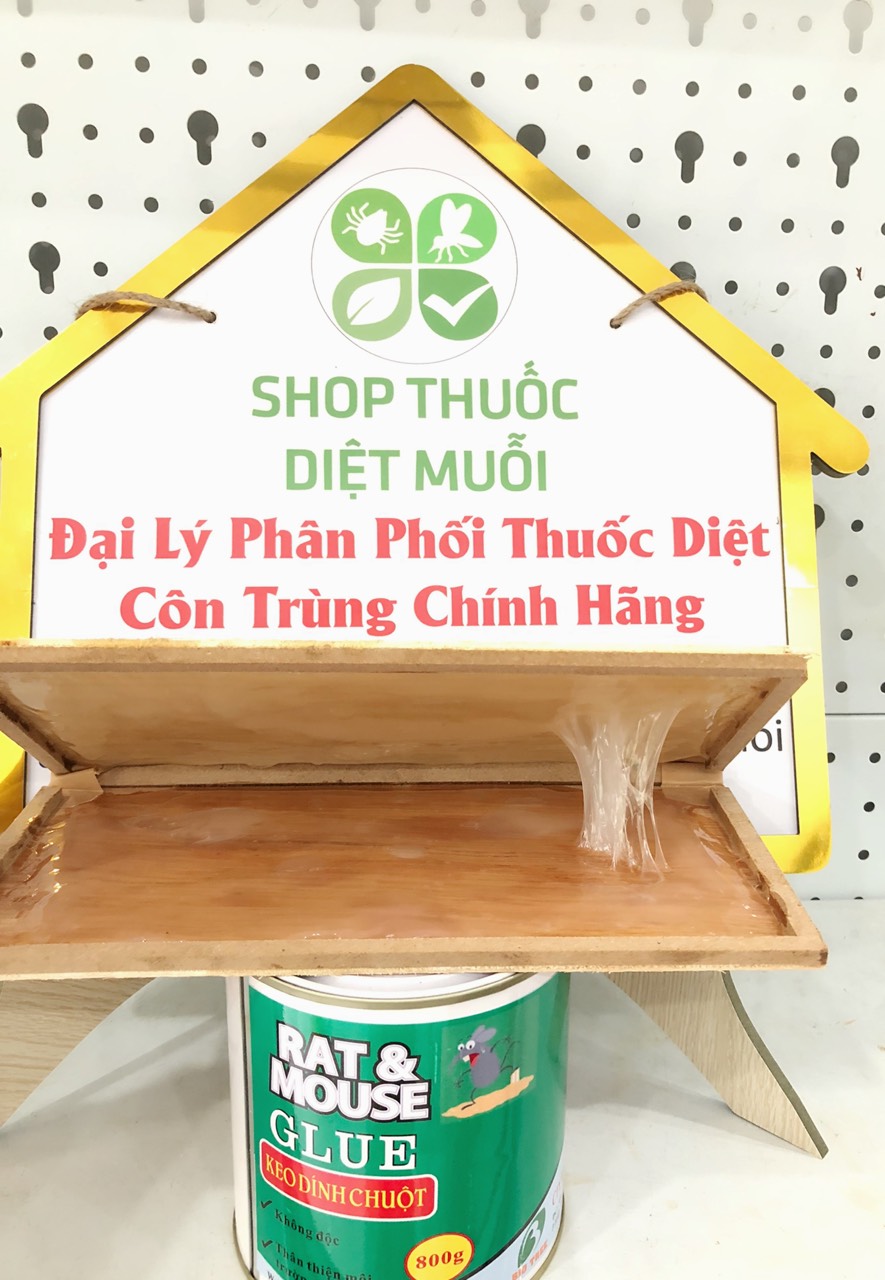 Keo dính chuột siêu dính - Hủ 800g