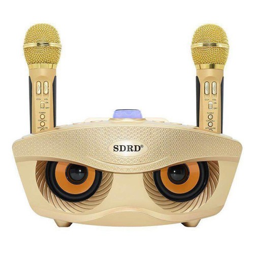 [HCM]Loa karaoke SD-306 kèm 2 microâm thanh cực đỉnhbass cực căng