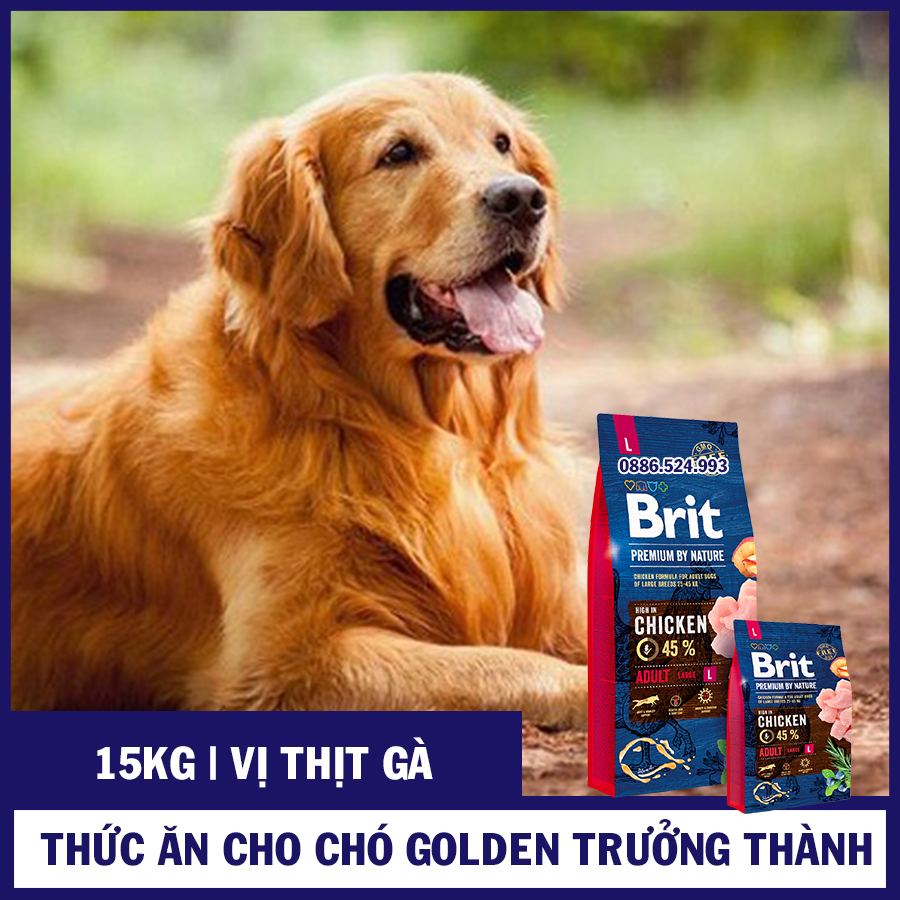 [BRIT VỊ THỊT GÀ 15KG] Thức Ăn Cho Chó Golden Trưởng Thành