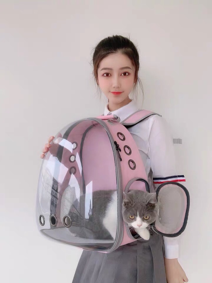 Balo trong cao cấp dành cho chó mèo