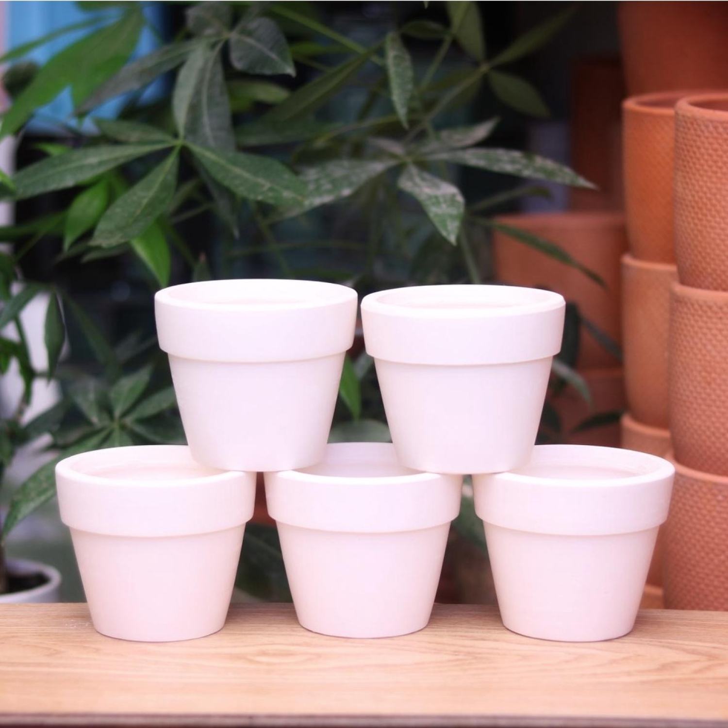 Chậu đất nung mini trồng sen đá, xương rồng - Nhiều Size