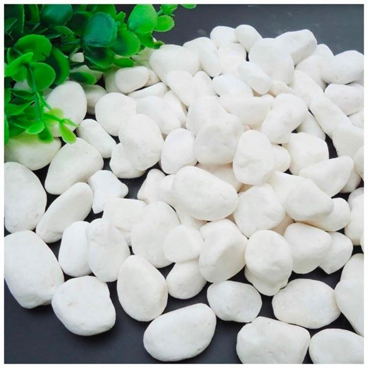 Sỏi đá trắng trang trí tiểu cảnh kích thước 2x3cm