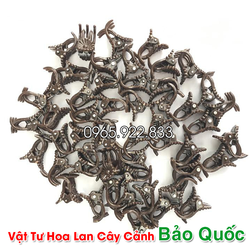 Kẹp Bướm Lan cỡ nhỏ cố định cây lan