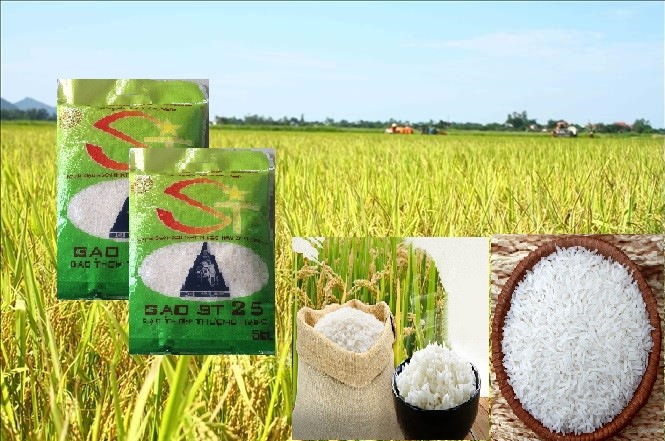Gạo st25 đặc sản sóc trăng túi