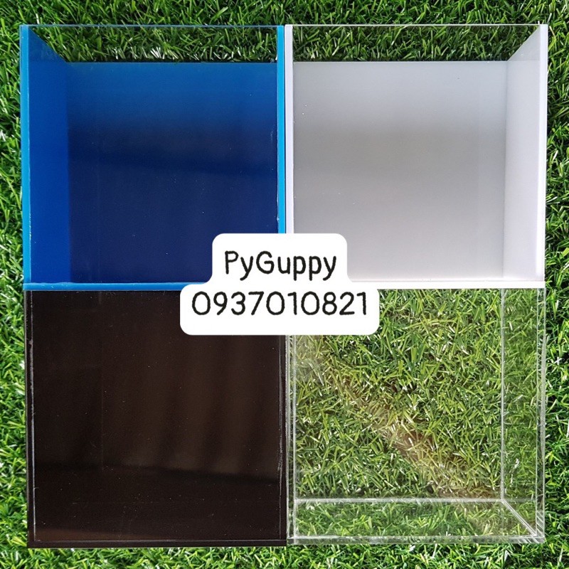 🐠 Keo Show Cá ACrylic Siêu Trong-Trong-Trắng-Xanh-Đen-show cá betta-Guppy-7màu-Neon-Hồ nuôi cá Mini 12x7x12-15x8x15