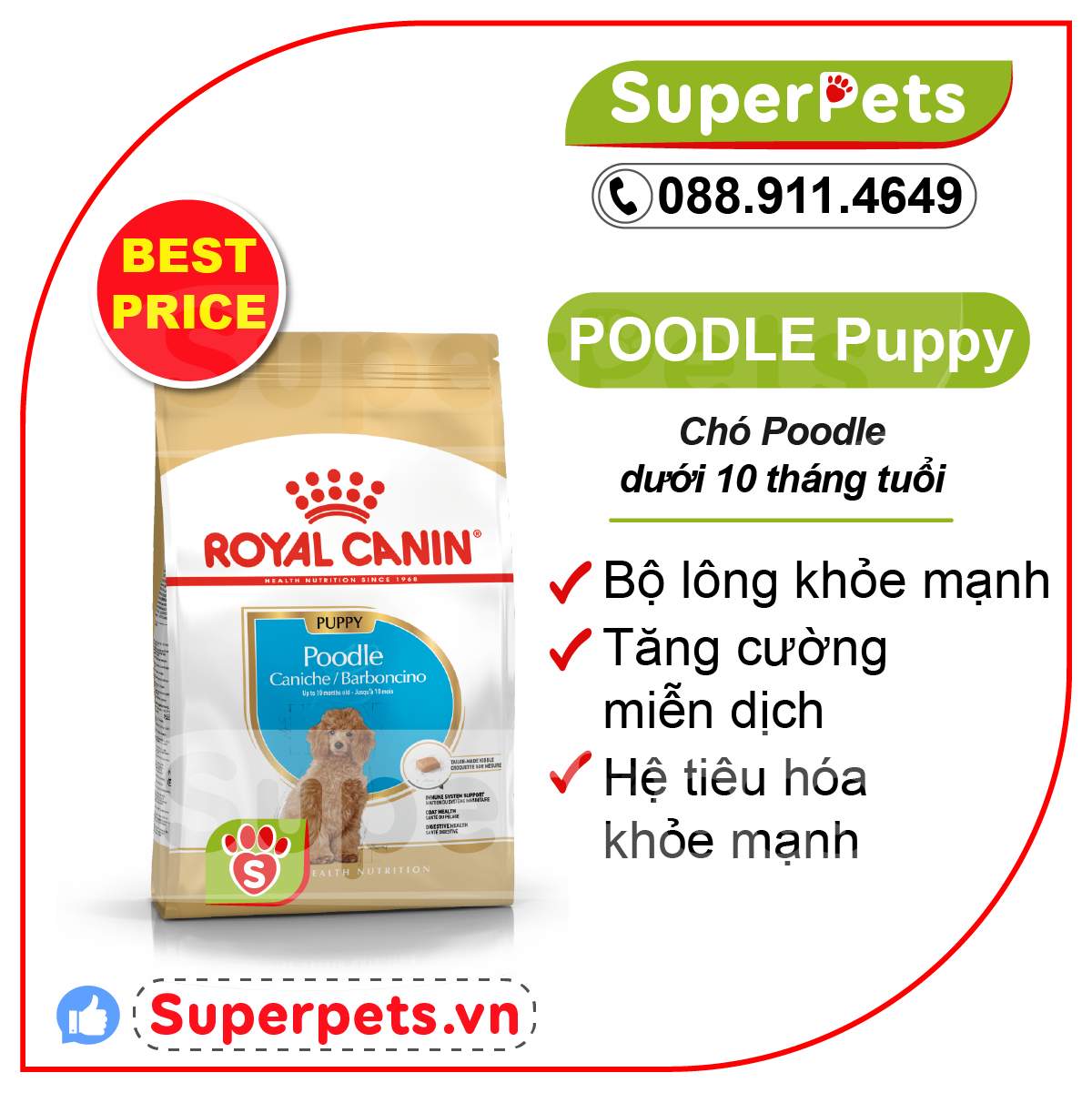 CHÍNH HÃNG Hạt Royal Canin Poodle Puppy dành cho chó con SUPERPETS VIỆT NAM
