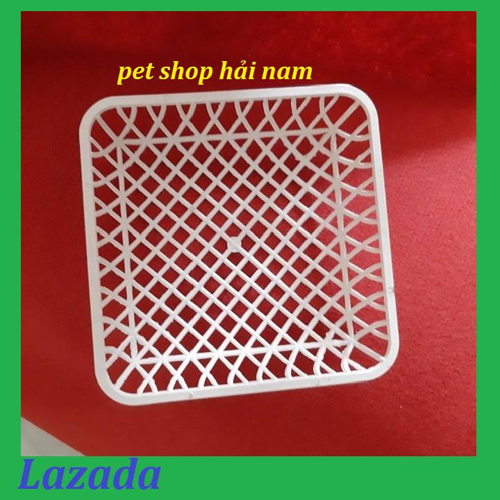 COMBO 15 Ổ VÀ VANH SẮT CHO CHIM BỒ CÂU ĐẺ- Ổ ĐẺ CHO CHIM CÂU GIÁ RẺ