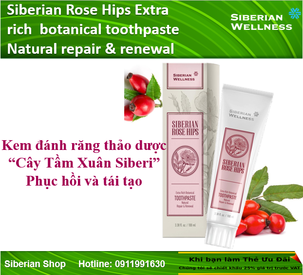 Kem đánh răng thảo dược “Cây Tầm Xuân Siberi” phục hồi và tái tạo