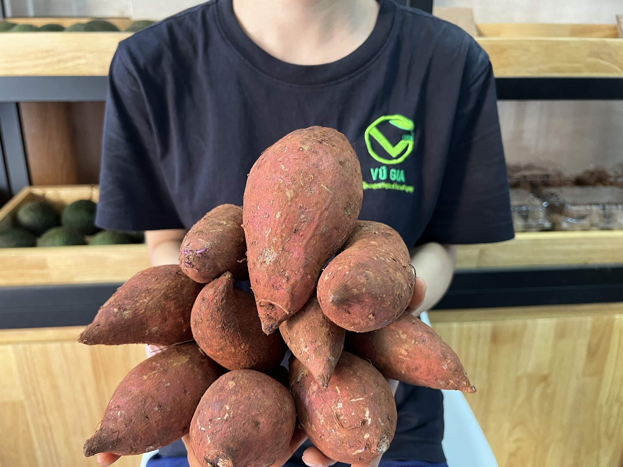 VG FARM Khoai Lang Mật Đà Lạt Lâm Đồng (500G/1KG)