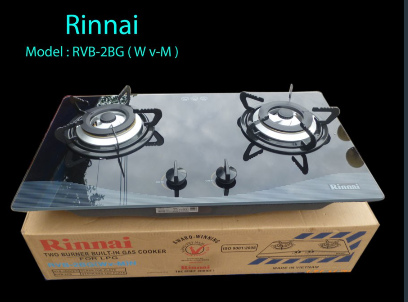BẾP GAS ÂM RINAI RVB-2BG WV-M N - BẾP GAS ÂM