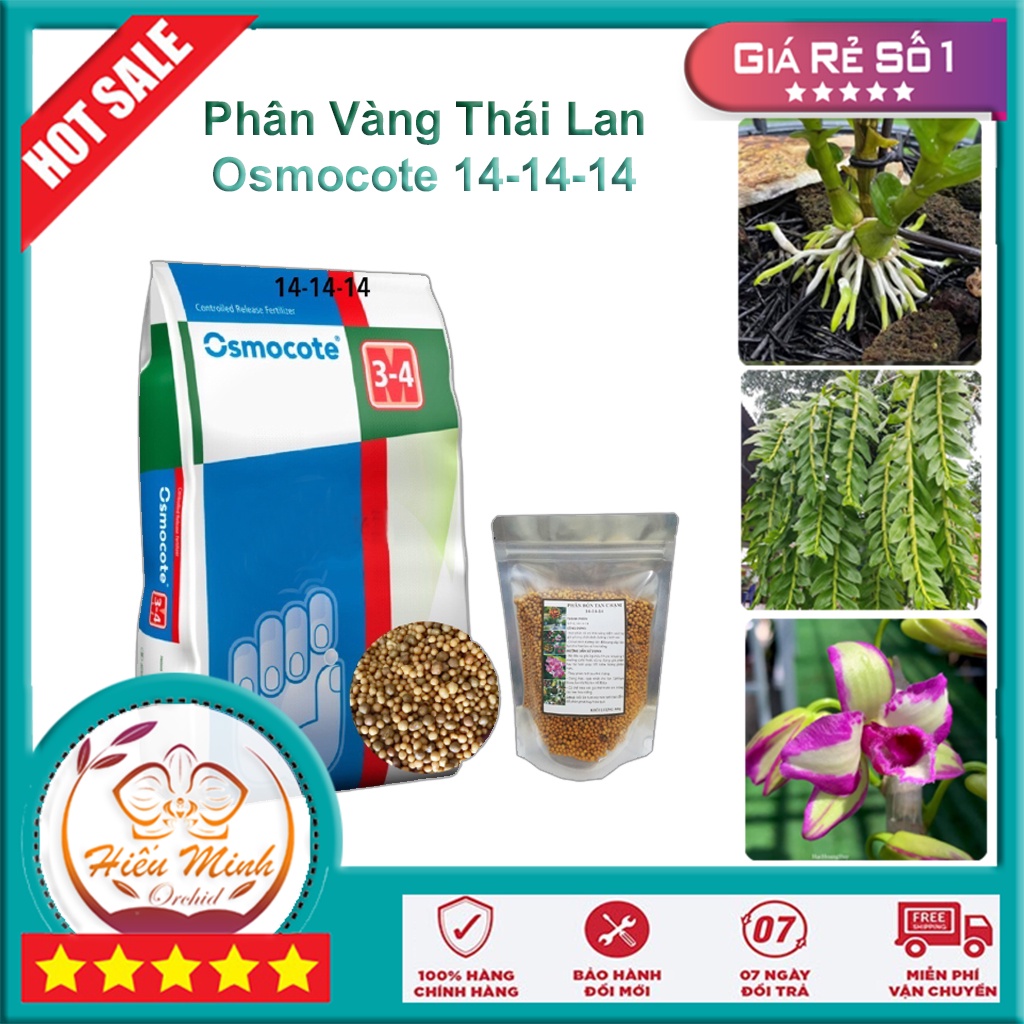 Oscomote 14-14-14 Phân hạt Vàng bón tan chậm nhập khẩu Thái Lan cung cấp dinh dưỡng thiết yếu cho Cây Hoa Lan