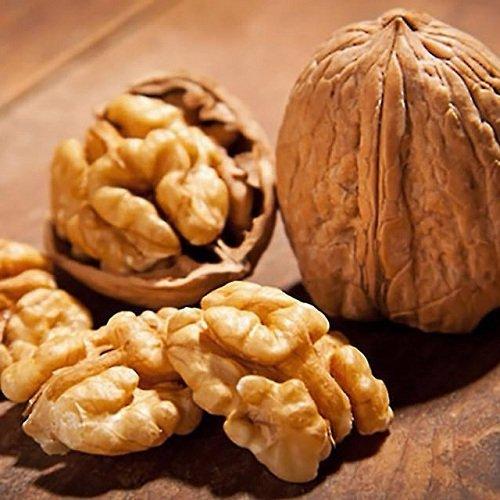 1kg óc chó úc