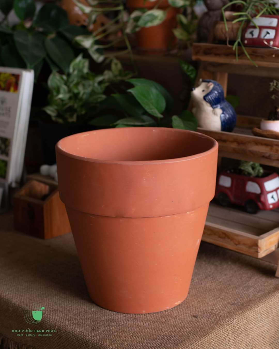 Chậu đất nung - kt: 11 x 11.5cm