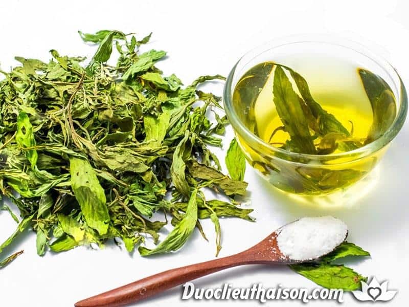 Trà cỏ ngọt sấy khô hảo hạng nguyên lá, xanh đẹp, trà cỏ ngọt thanh nhiệt, pha chế, nấu nước