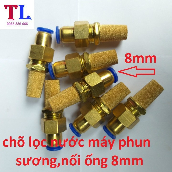 Chõ đồng lọc nước, lọc cặn bẩn cho bơm phun sương ống 8mm, 8 ly.