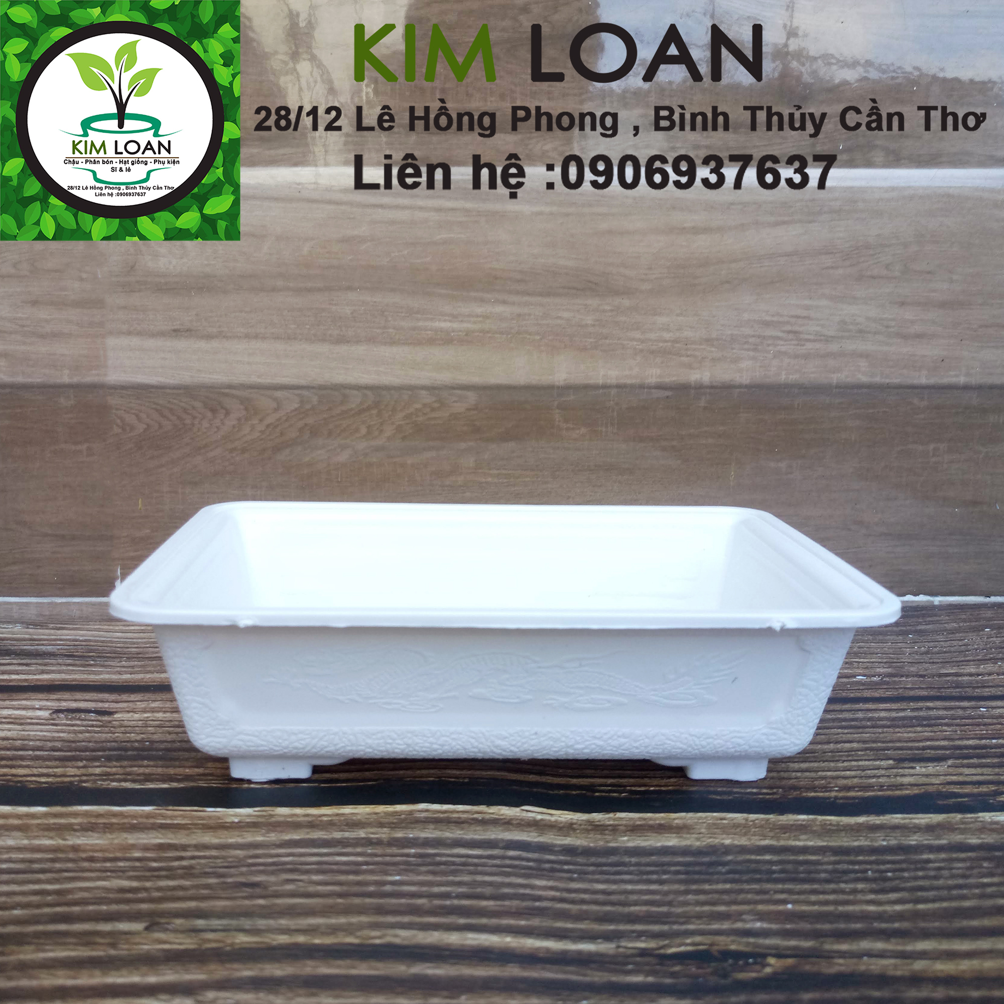 Combo 2 chậu nhựa bonsai chữ nhật mini 17x12x5cm