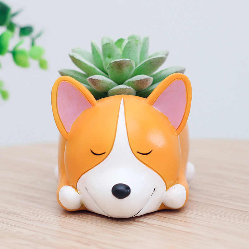 Chậu cây Corgi ngủ say R7A7N6