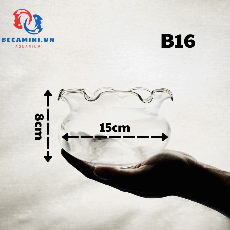 Bể cá mini - chậu cá để bàn - B16 bể cá tròn