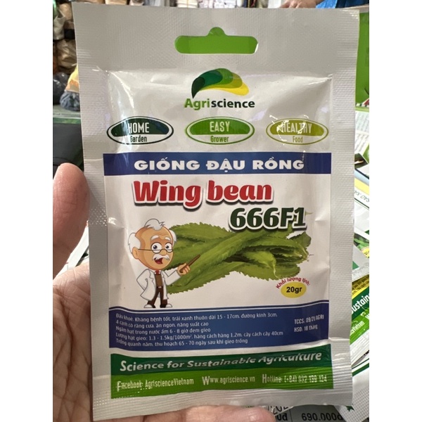 Hạt giống đậu rồng