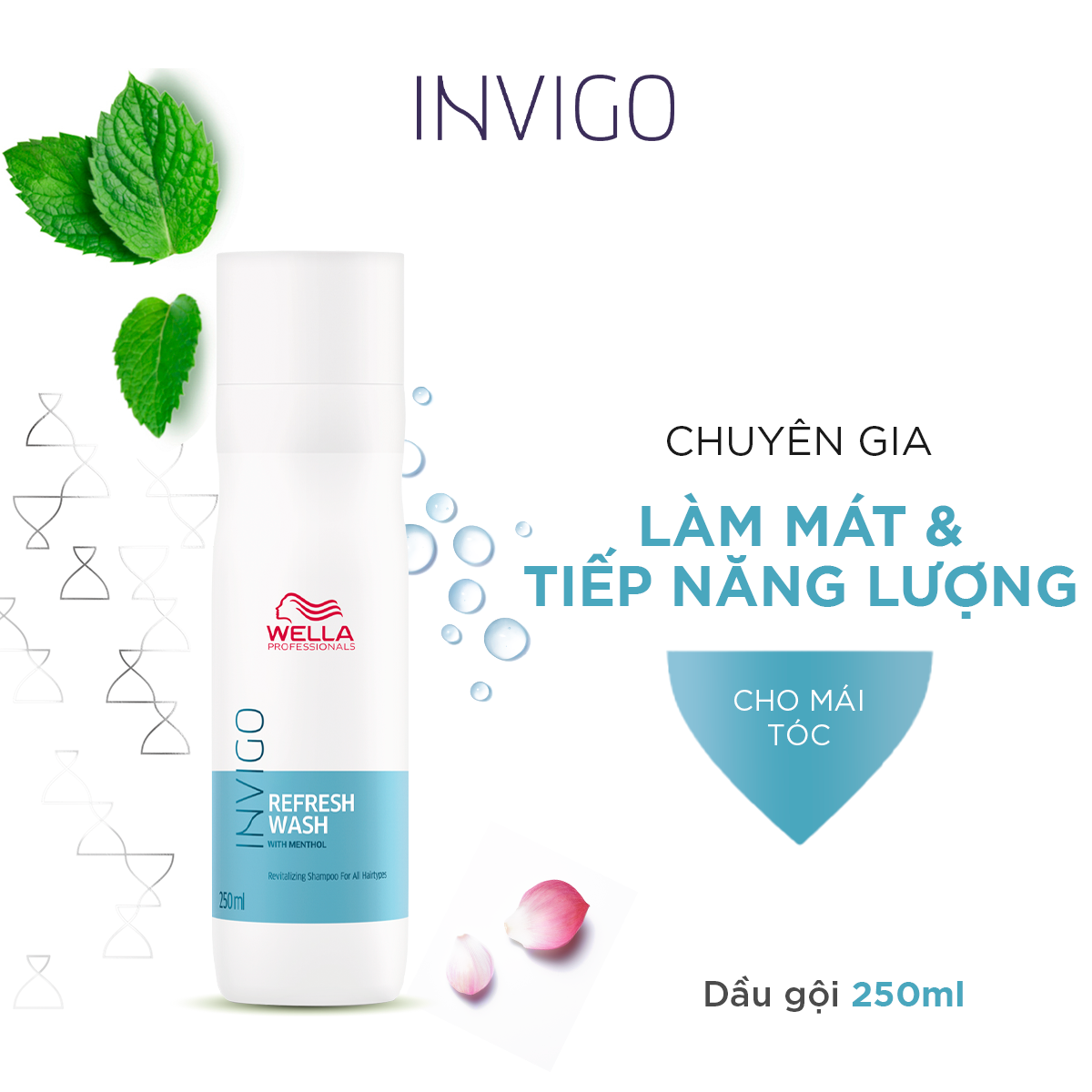Dầu Gội Wella Invigo Cung Cấp Năng Lượng Cho Da Đầu, Giảm Gãy Rụng Balance Refresh Wash Shampoo 250ml