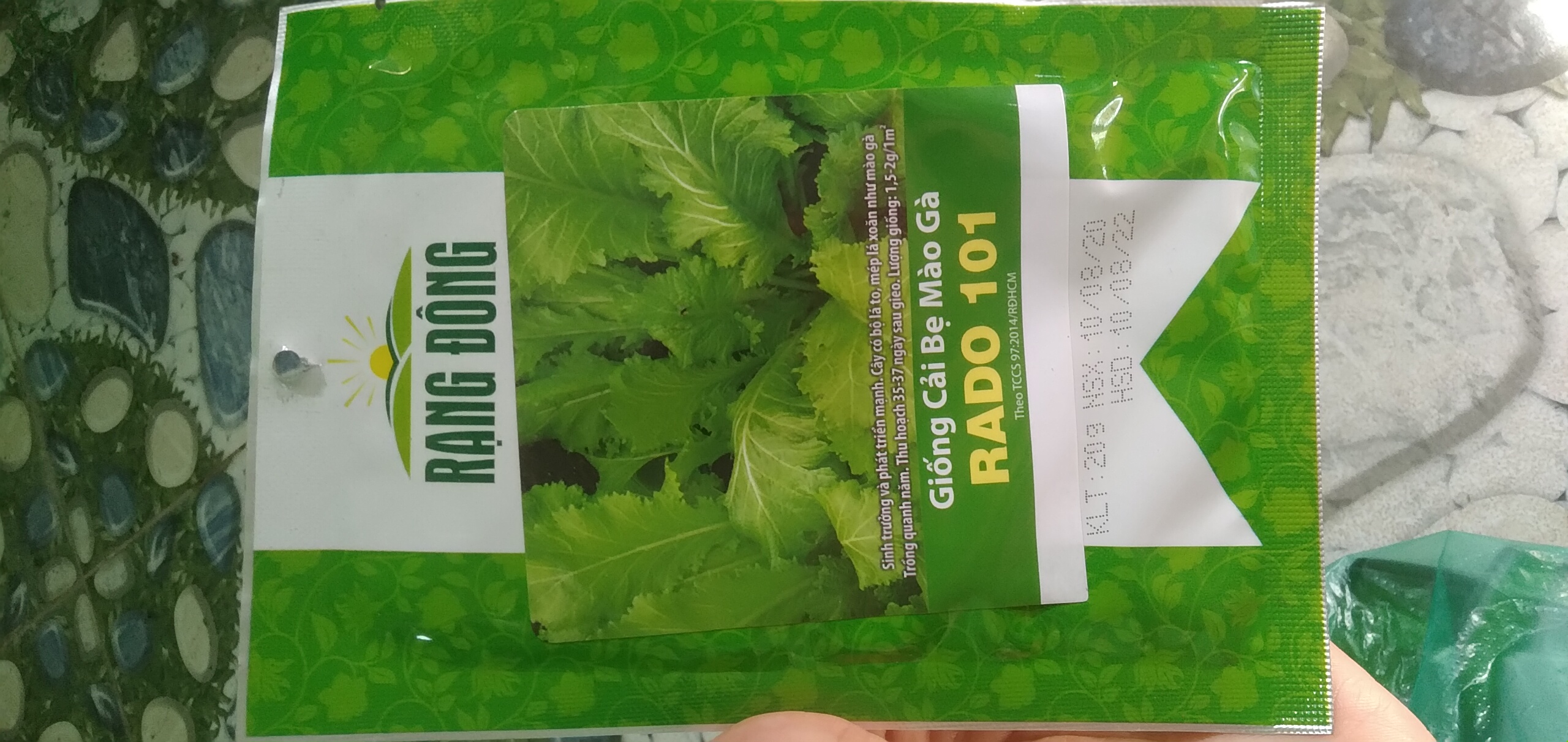 Hạt giống cải mào gà