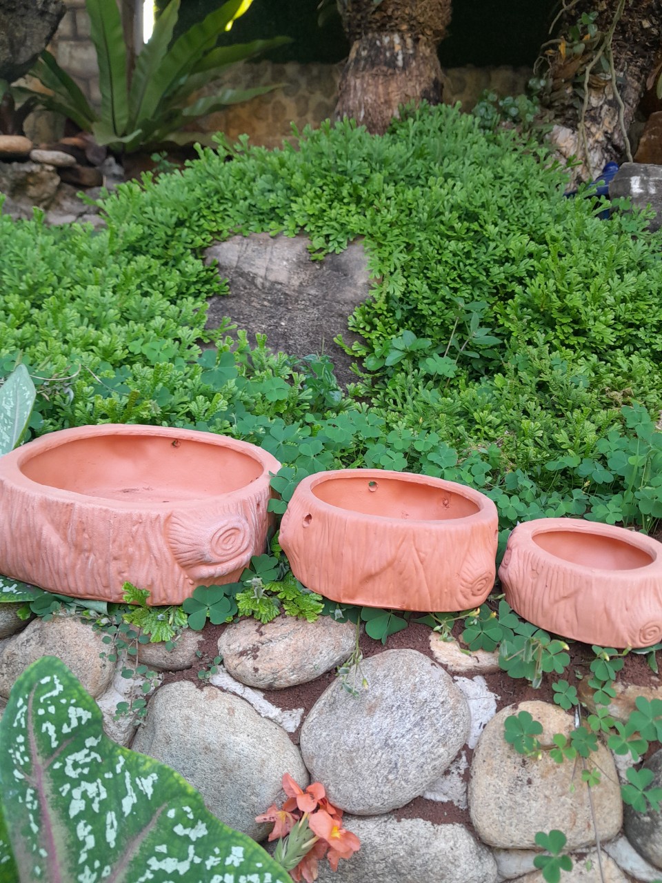 Chậu trồng cây gốm sứ - chậu trồng bonsai - chậu trồng cây mini – chậu trồng cây sen đá