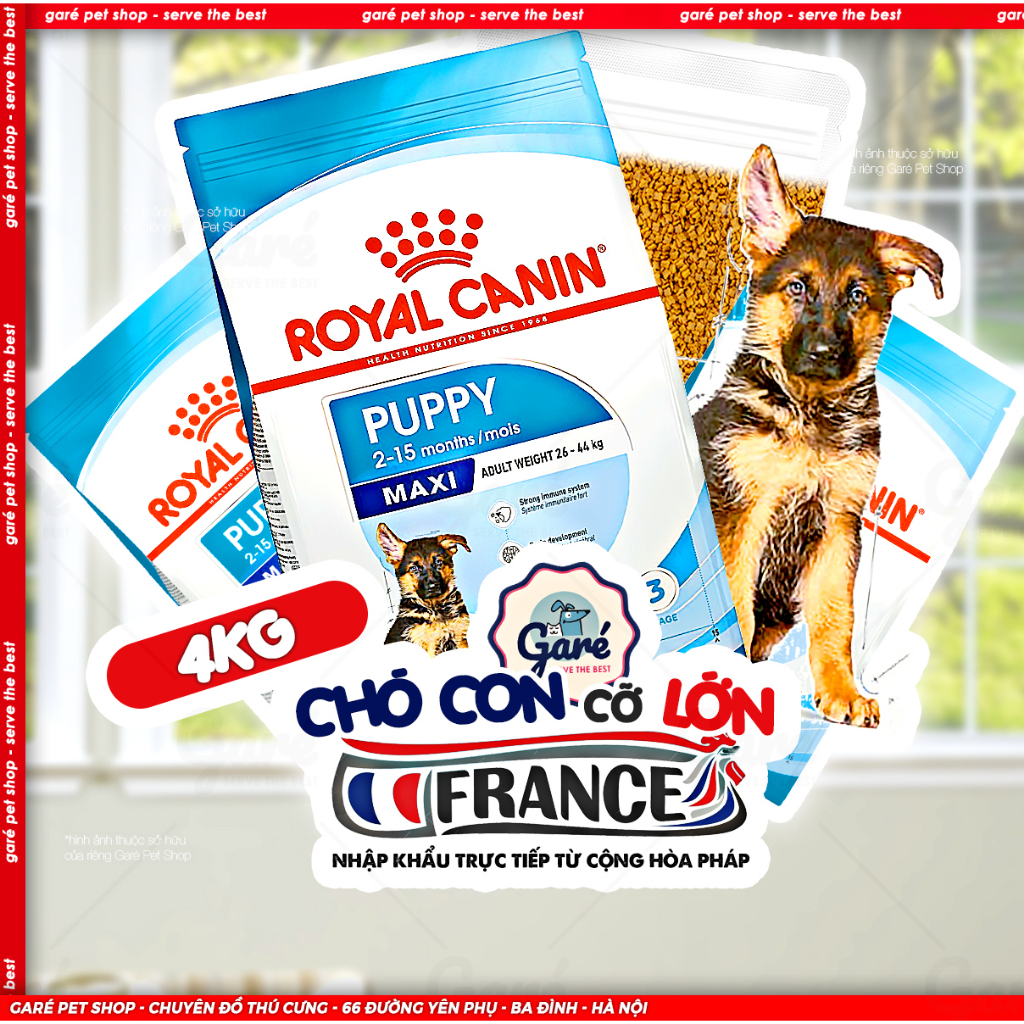 4kg - Hạt chó con Maxi Puppy Royal Canin dành cho Chó con giống lớn khi trưởng thành nặng 26 - 44kg