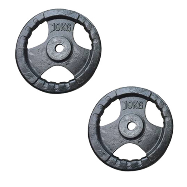Bộ 2 Bánh Tạ Gang 10kg (Tổng 20kg) Lỗ 27mm Đại Nam Sport