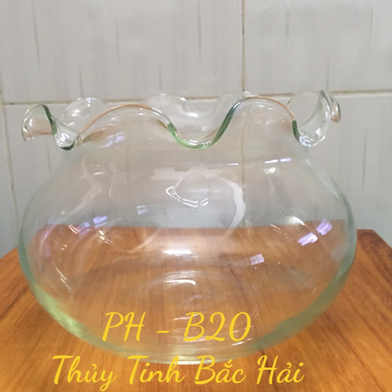[HCM]BỂ CÁ THỦY TINHHỒ CÁ MINICHẬU CÂY THỦY SINH ĐỂ BÀN B20 - THỦY TINH BẮC HẢI