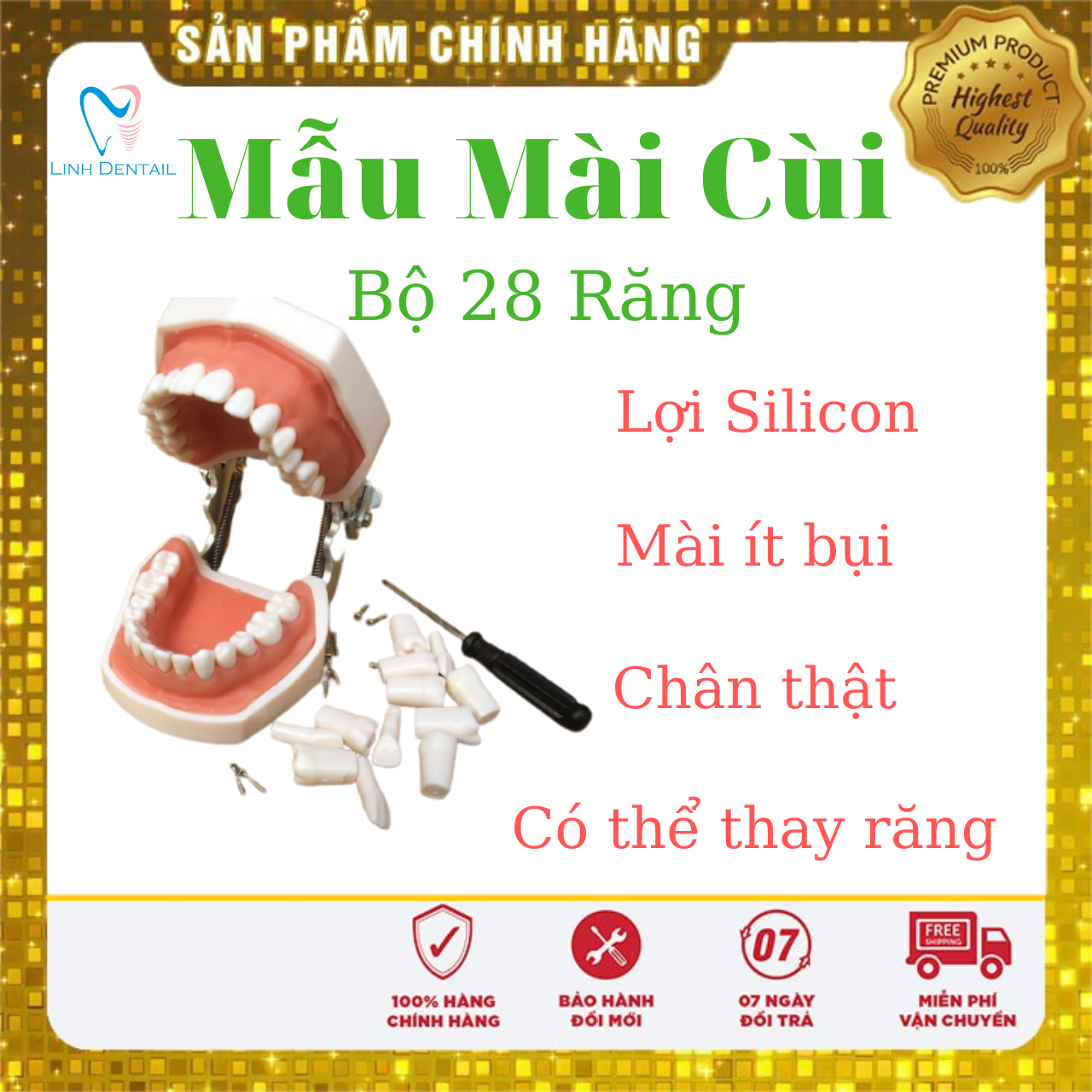 Mẫu hàm mài cùi răng nha khoa, chỉnh nha, HLT012 Halita Bộ mẫu 28 răng có thể thay thế, Tặng kèm vis vặn răng 18k