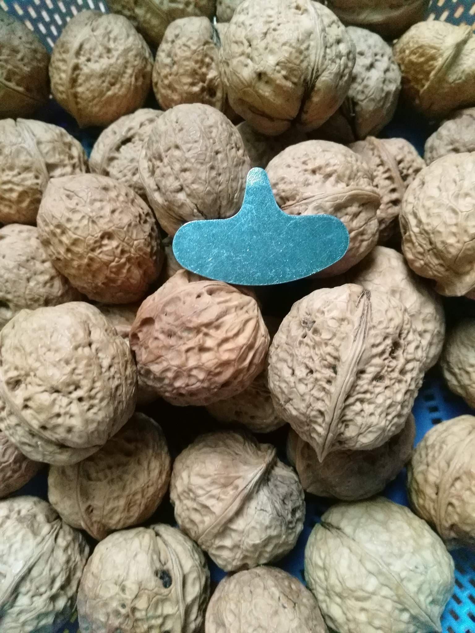 1 kg óc chó Việt nhiều dinh dưỡng